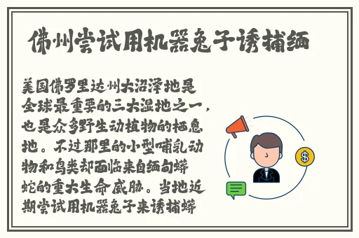 2023年x7x7x7槽台配置